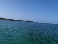 P4072817.jpg