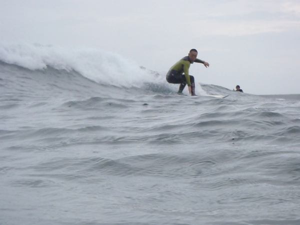 P2241593.jpg