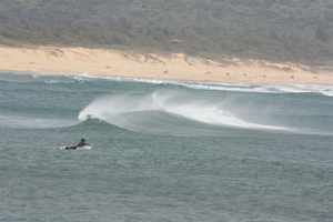 sIMG_8692.jpg