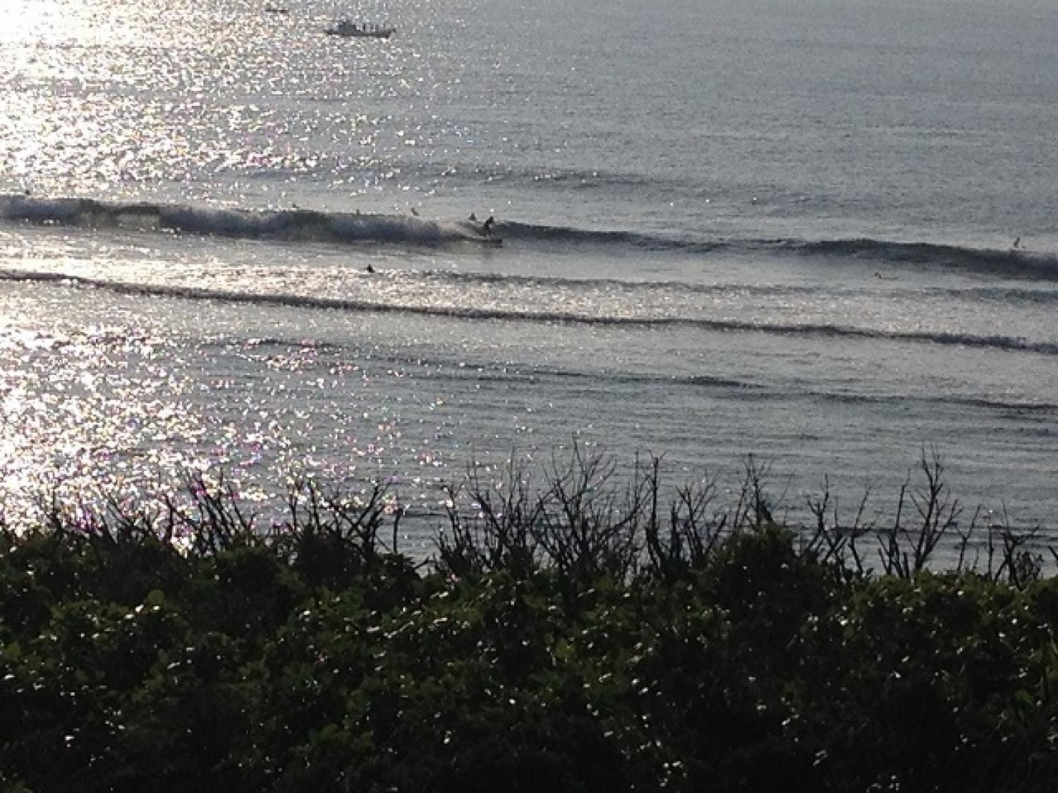 Waist~Chest Dec. 12 Suicide Point wave information 2