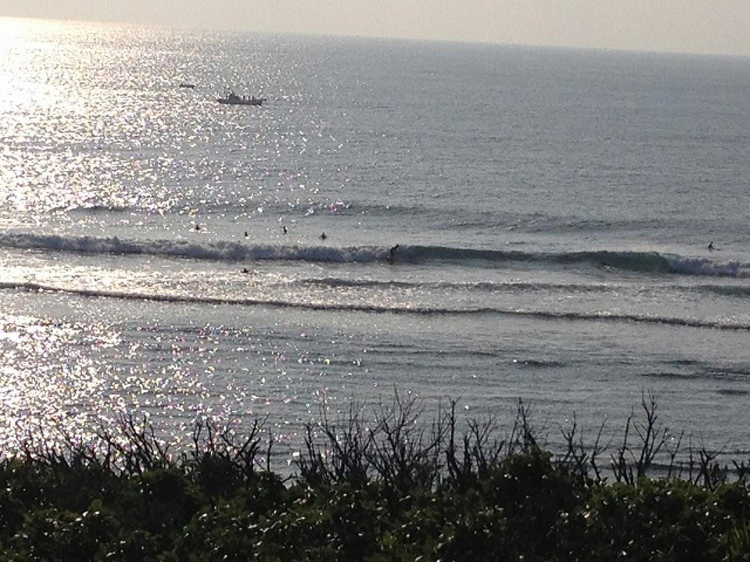 Waist~Chest Dec. 12 Suicide Point wave information 4