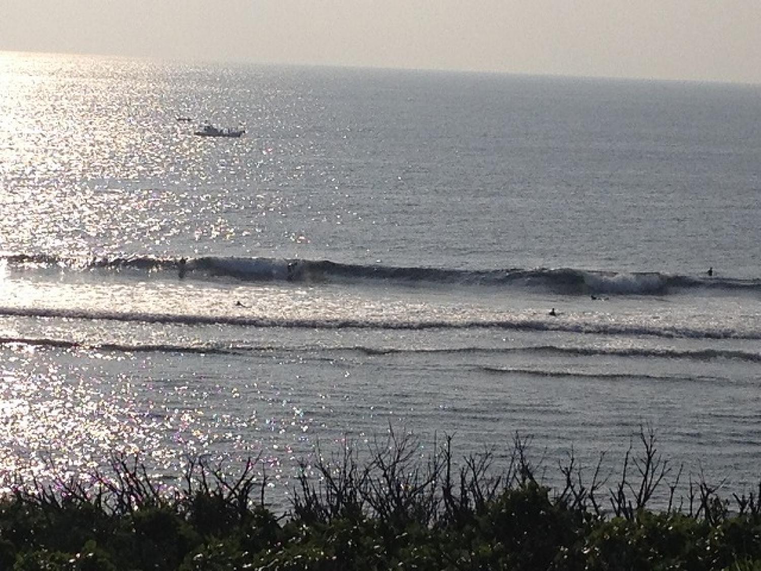 Waist~Chest Dec. 12 Suicide Point wave information 5