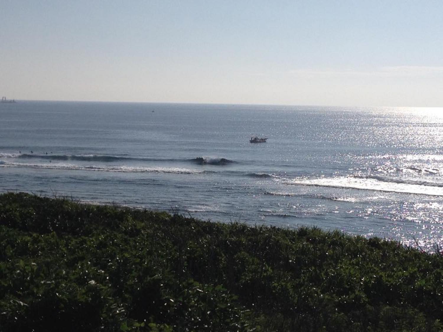 Dec. 13 Suicide Point wave information 1