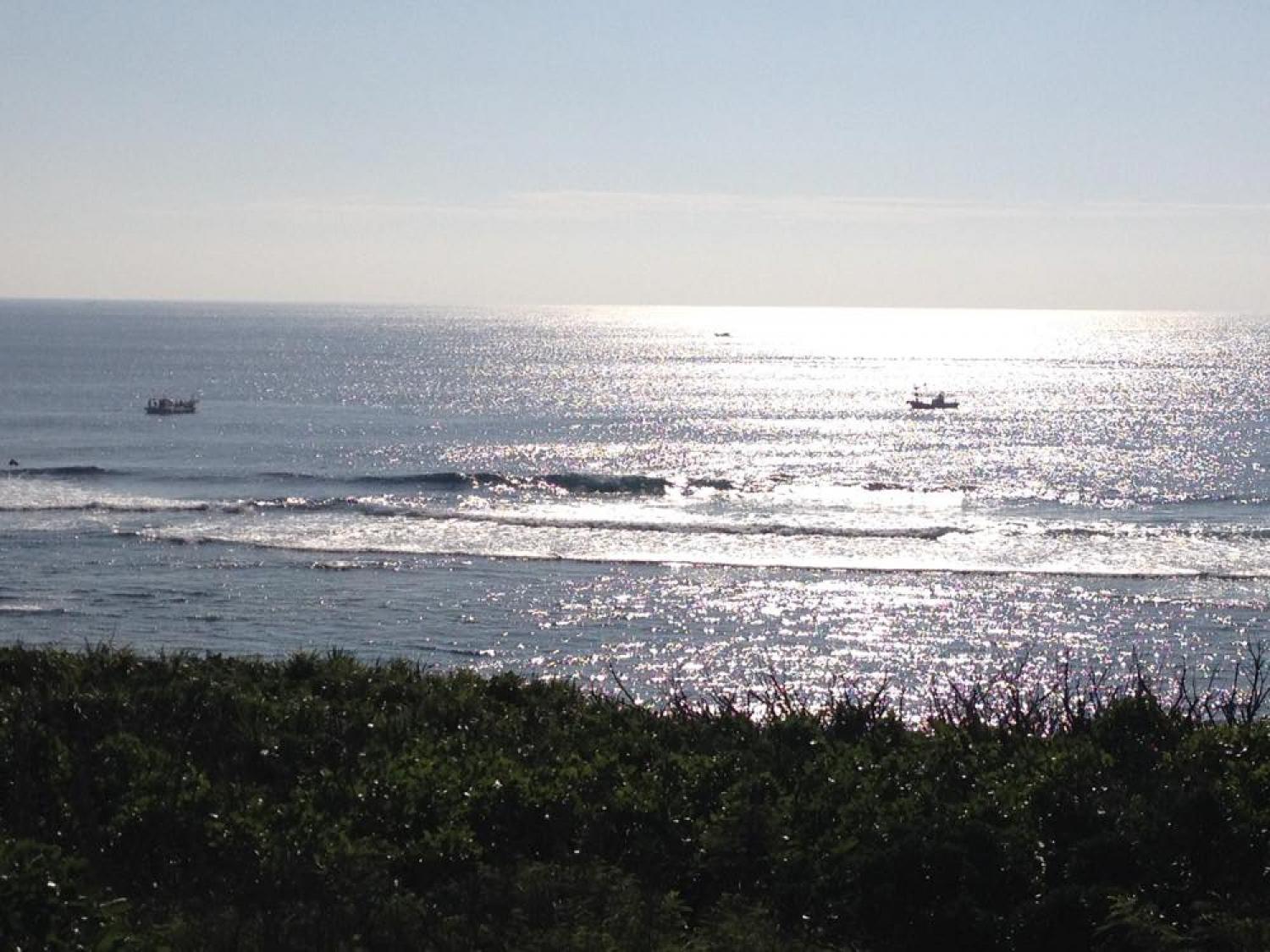 Dec. 13 Suicide Point wave information 2