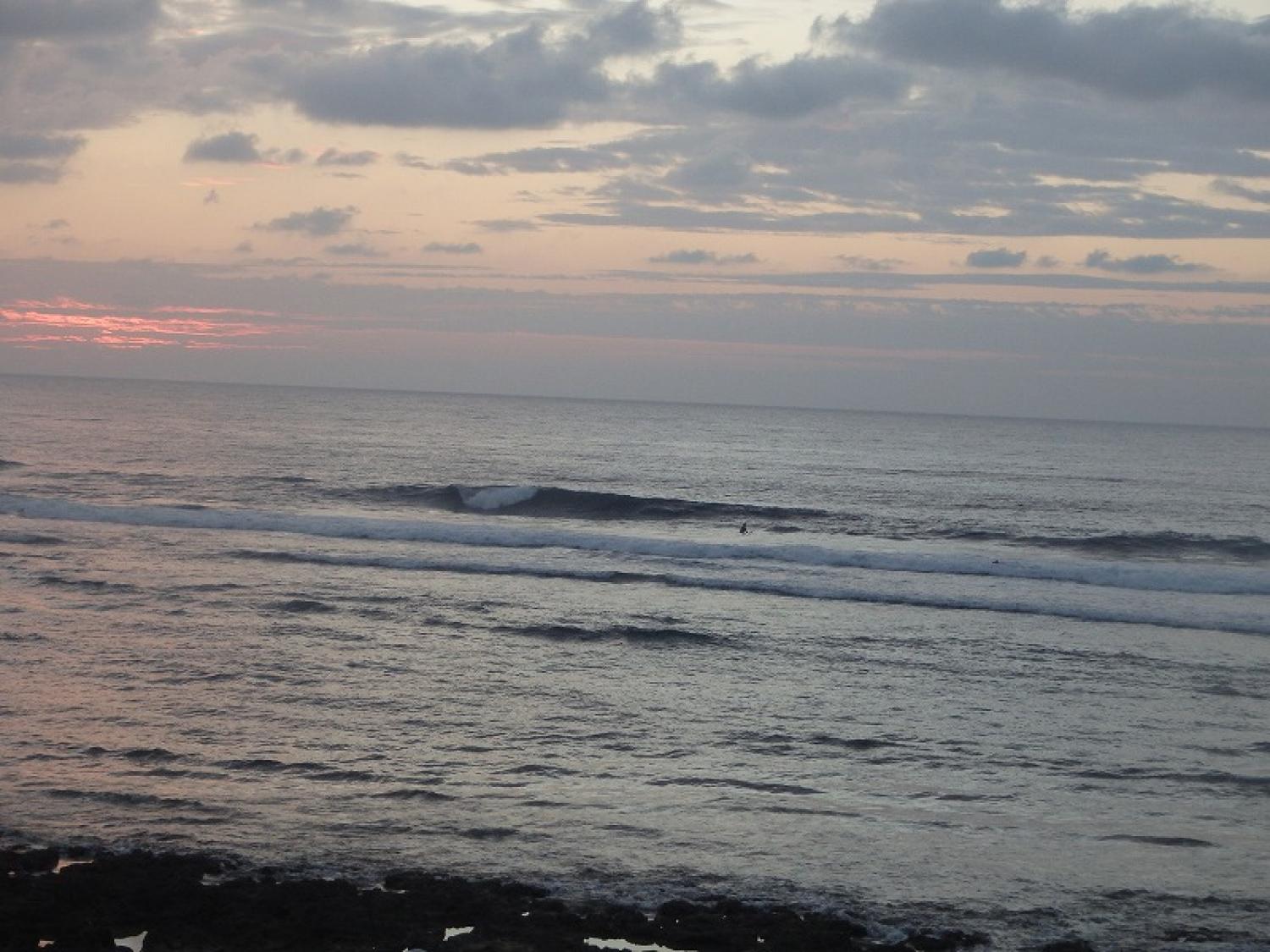 waist～Chest Dec. 14 Suicide Point wave information 1