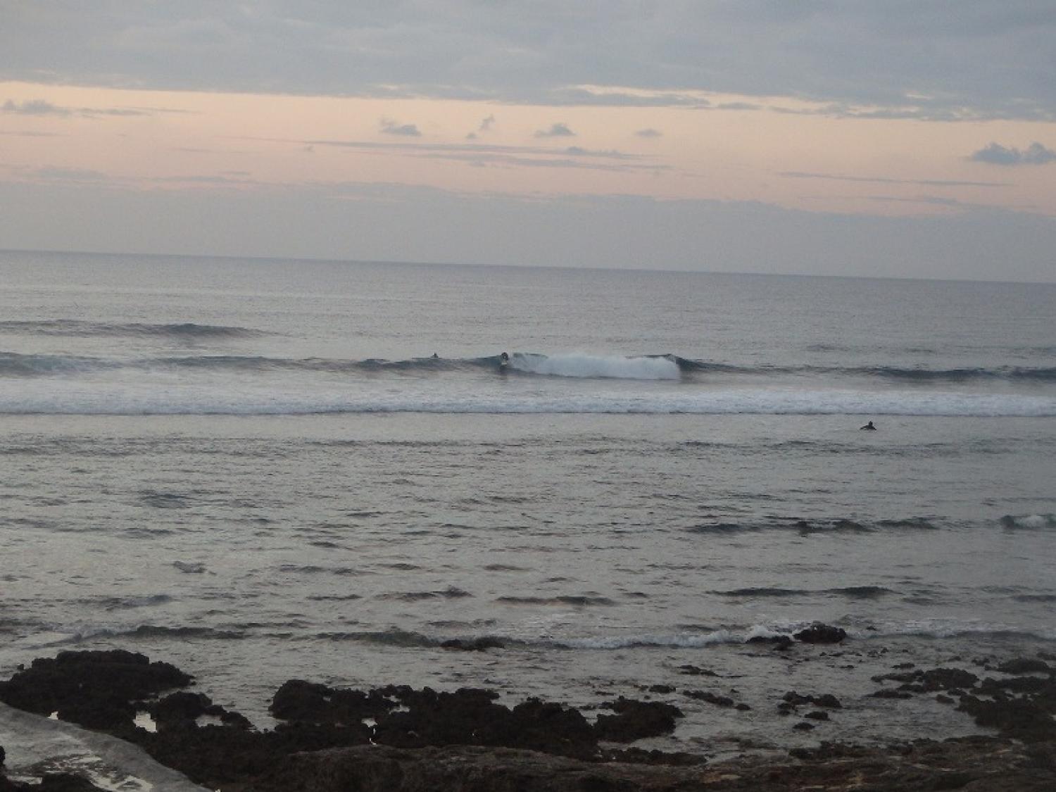 waist～Chest Dec. 14 Suicide Point wave information 2