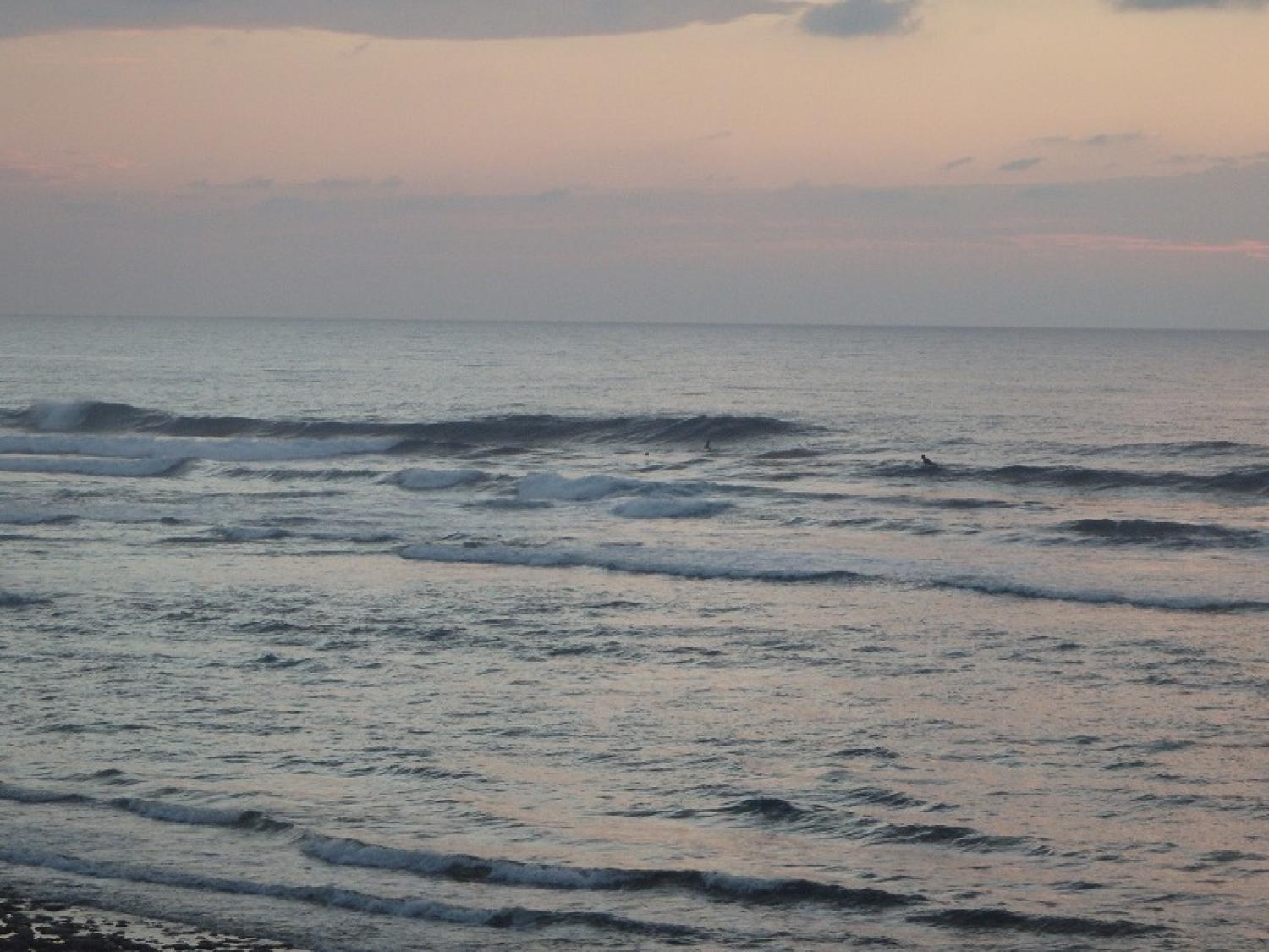 waist～Chest Dec. 14 Suicide Point wave information 3