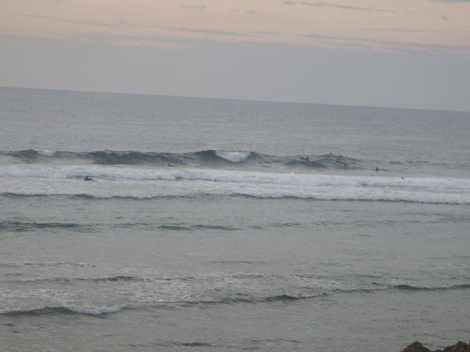 waist～Chest Dec. 14 Suicide Point wave information 4