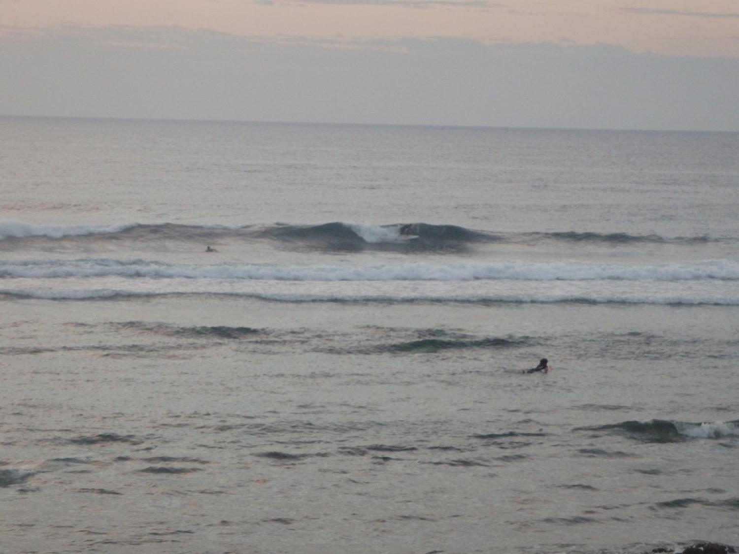 waist～Chest Dec. 14 Suicide Point wave information 5