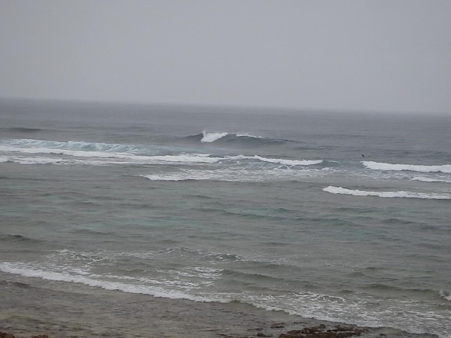 Chest～Head Dec. 15 Suicide Point wave information 1