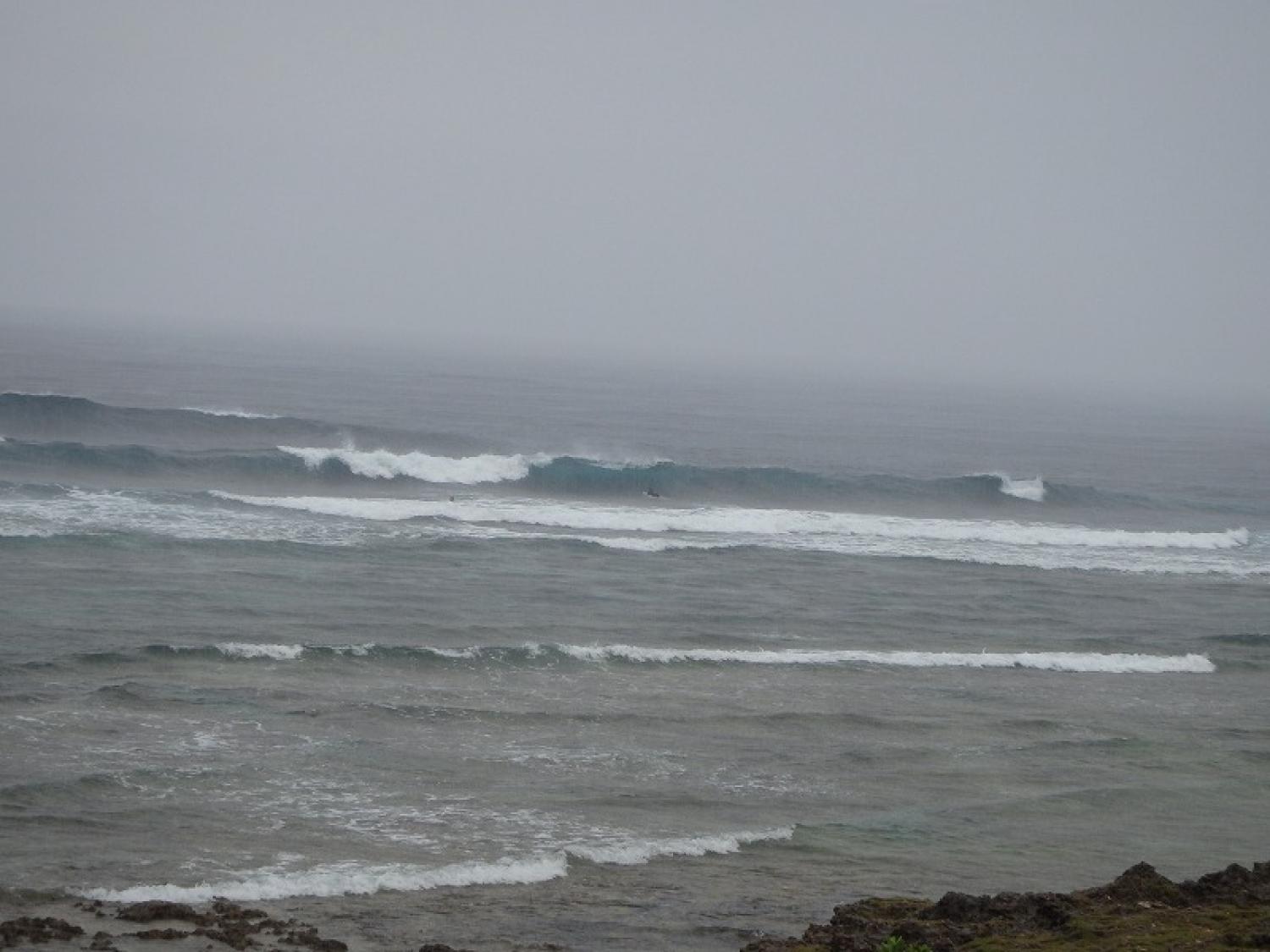 Chest～Head Dec. 15 Suicide Point wave information 2