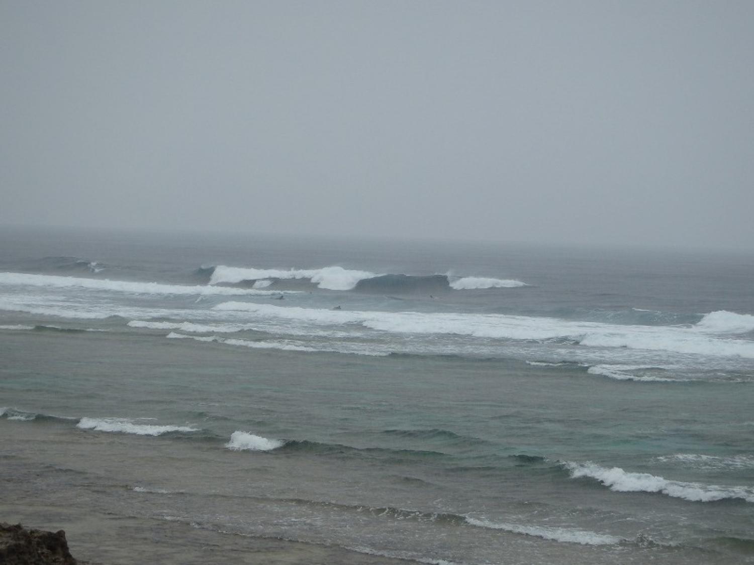 Chest～Head Dec. 15 Suicide Point wave information 3