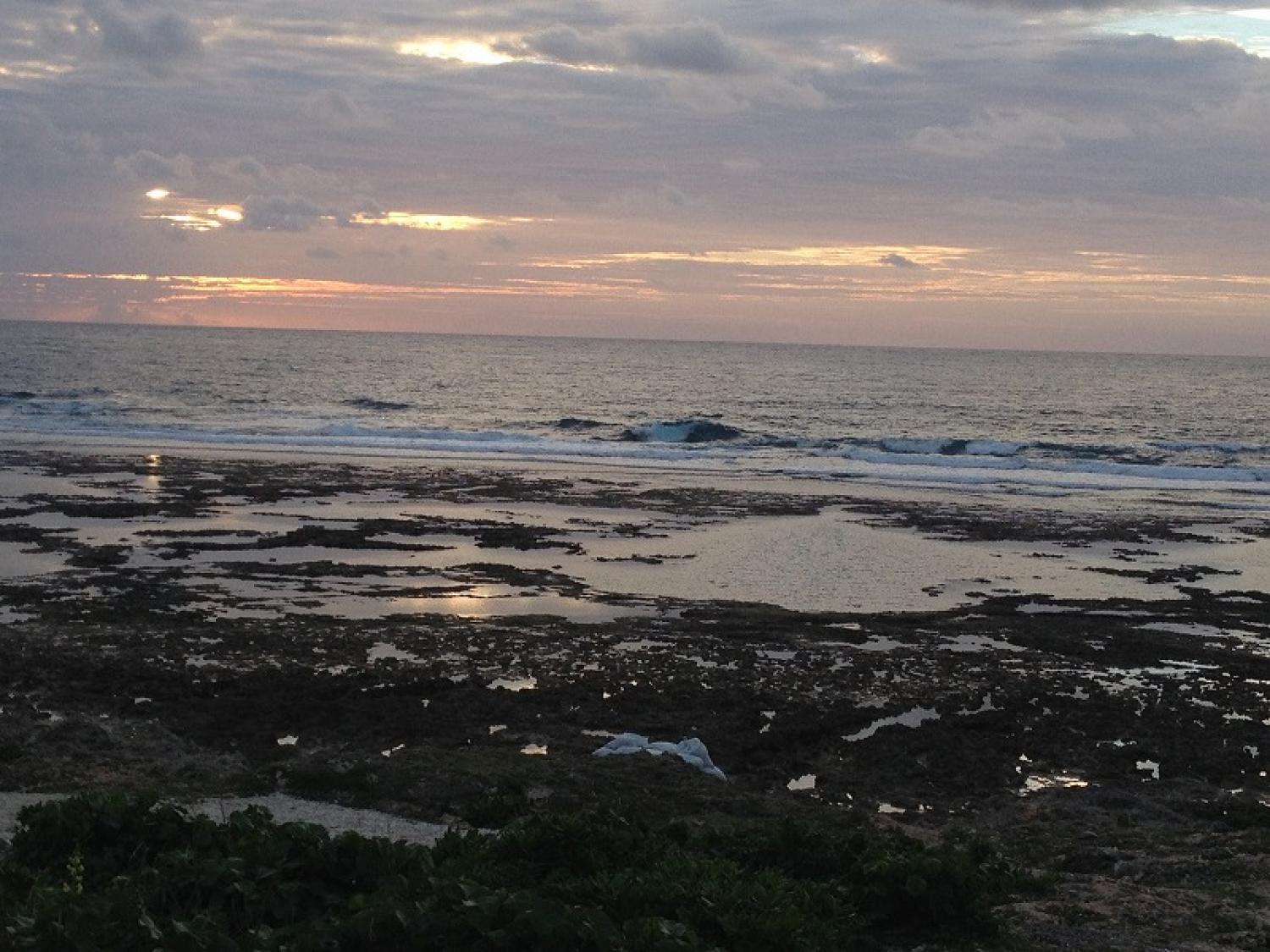 Waist～Chest Dec. 21 Suicide Point wave information 3