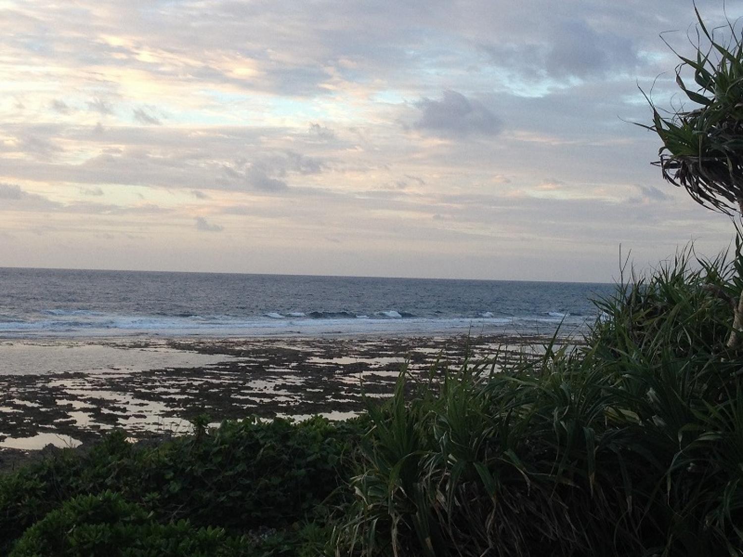 Waist～Chest Dec. 21 Suicide Point wave information 5