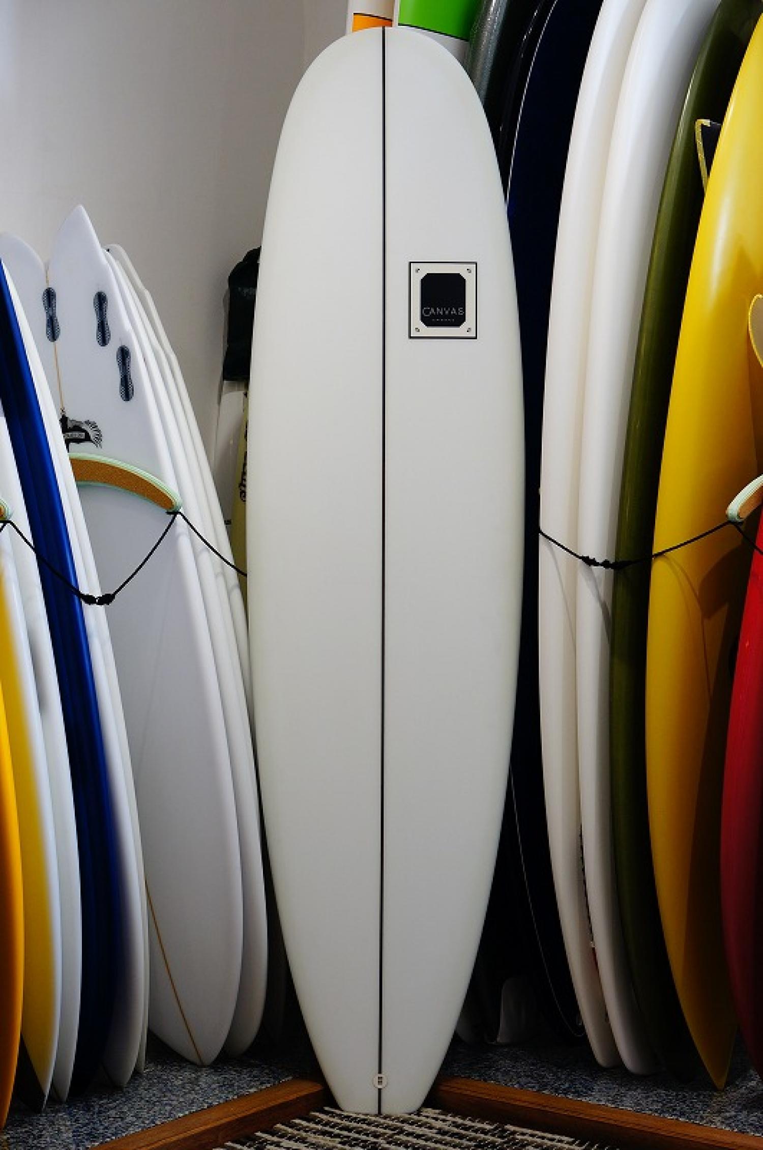 The CANVAS MINI NOSERIDER 6 '12 "two surfboards arrival