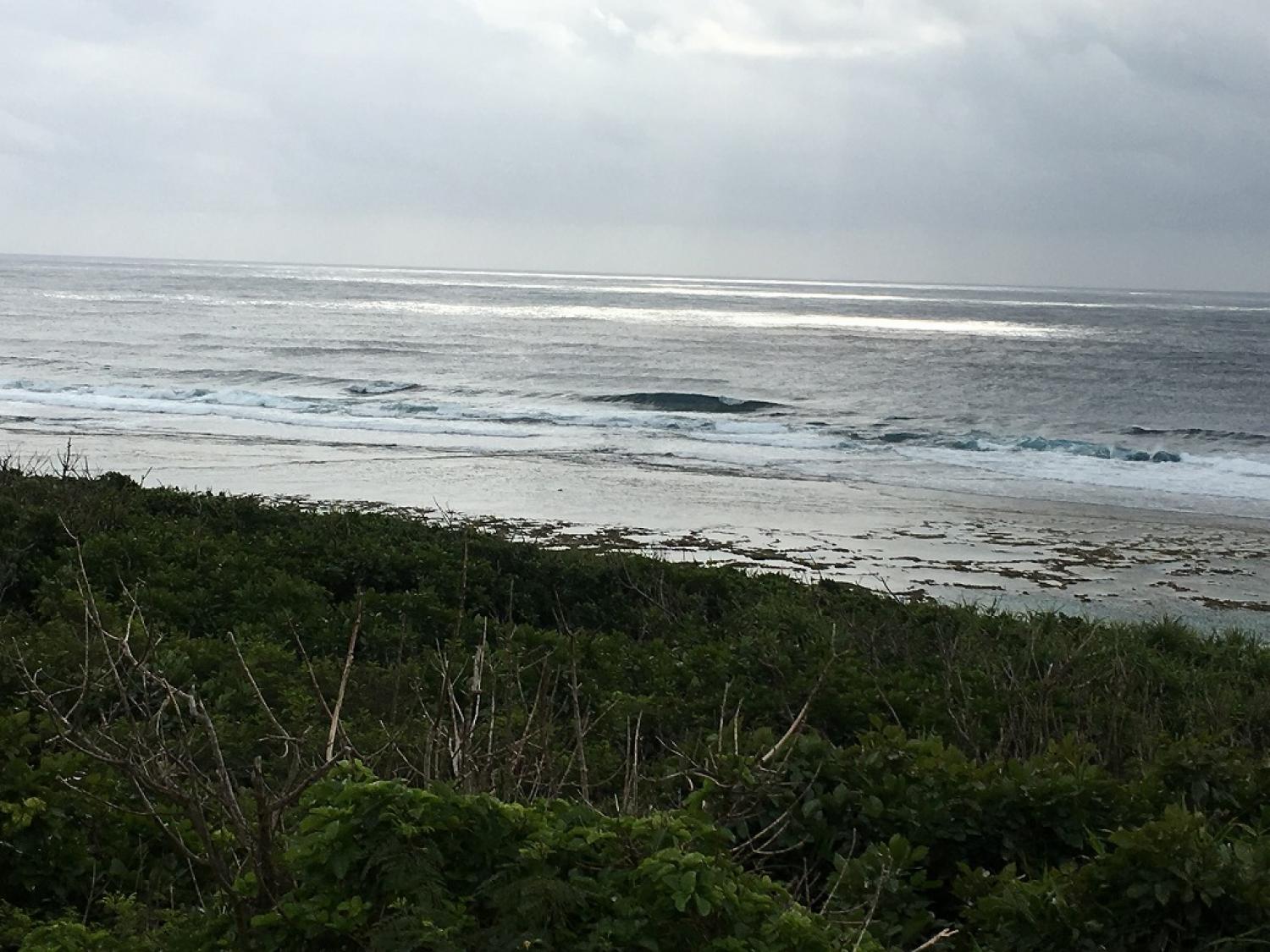 Chest～Head Size Feb. 20 Suicide Point wave information 1