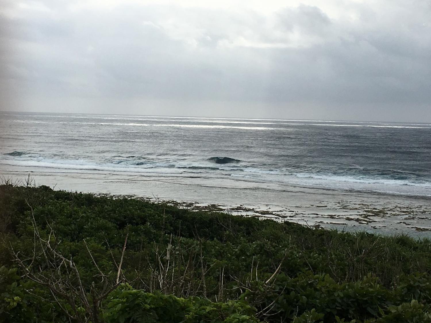 Chest～Head Size Feb. 20 Suicide Point wave information 2