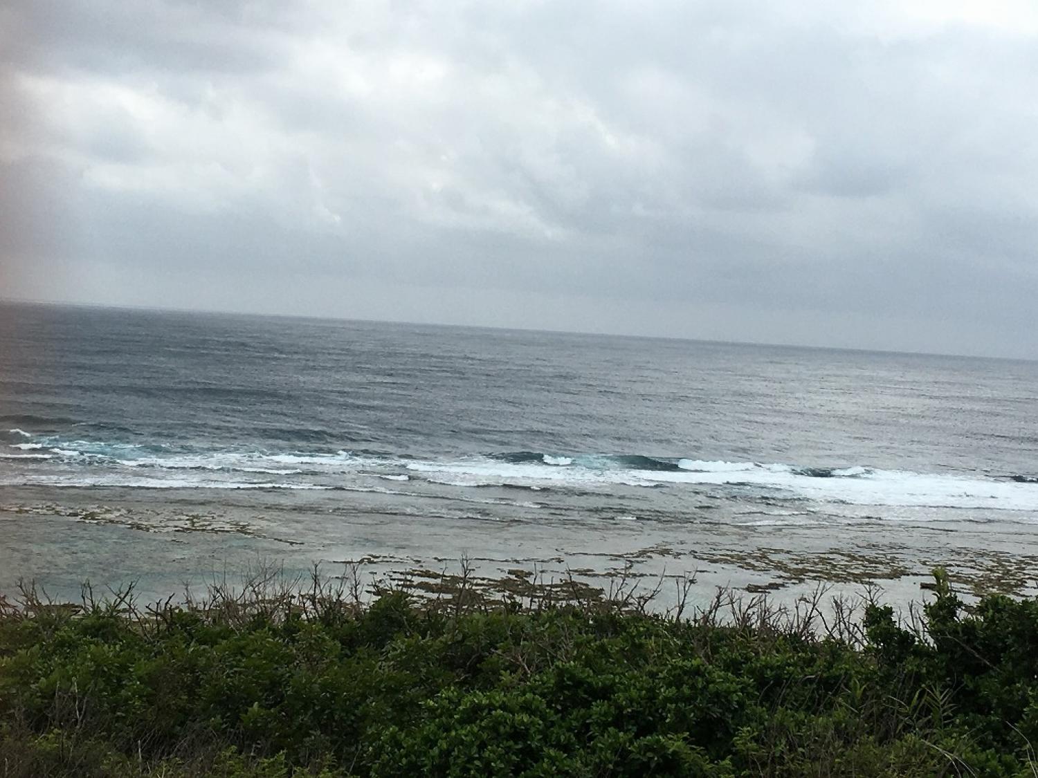Chest～Head Size Feb. 20 Suicide Point wave information 3