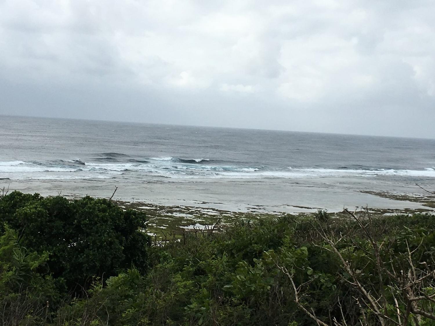 Chest～Head Size Feb. 20 Suicide Point wave information 4