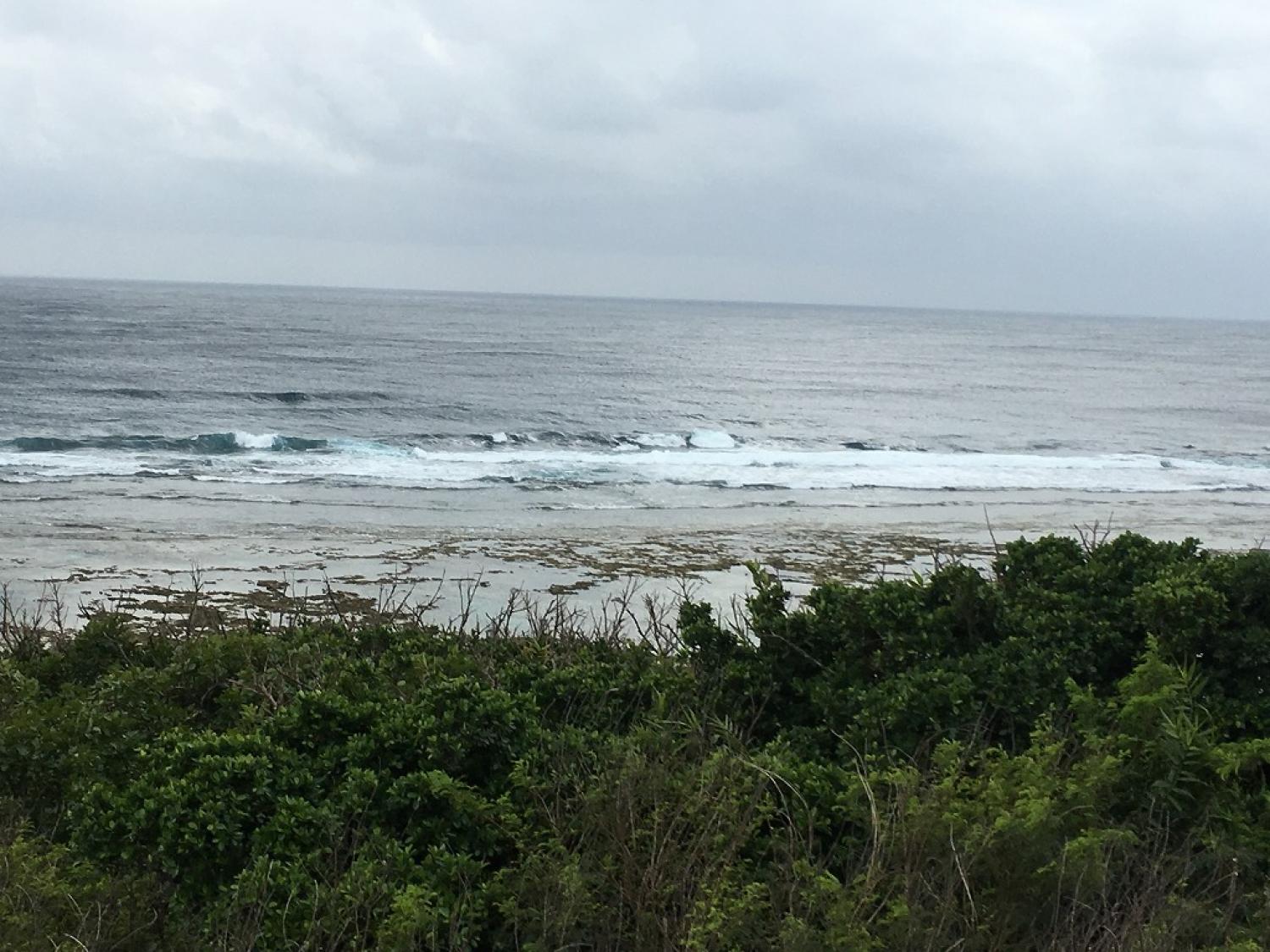 Chest～Head Size Feb. 20 Suicide Point wave information 5