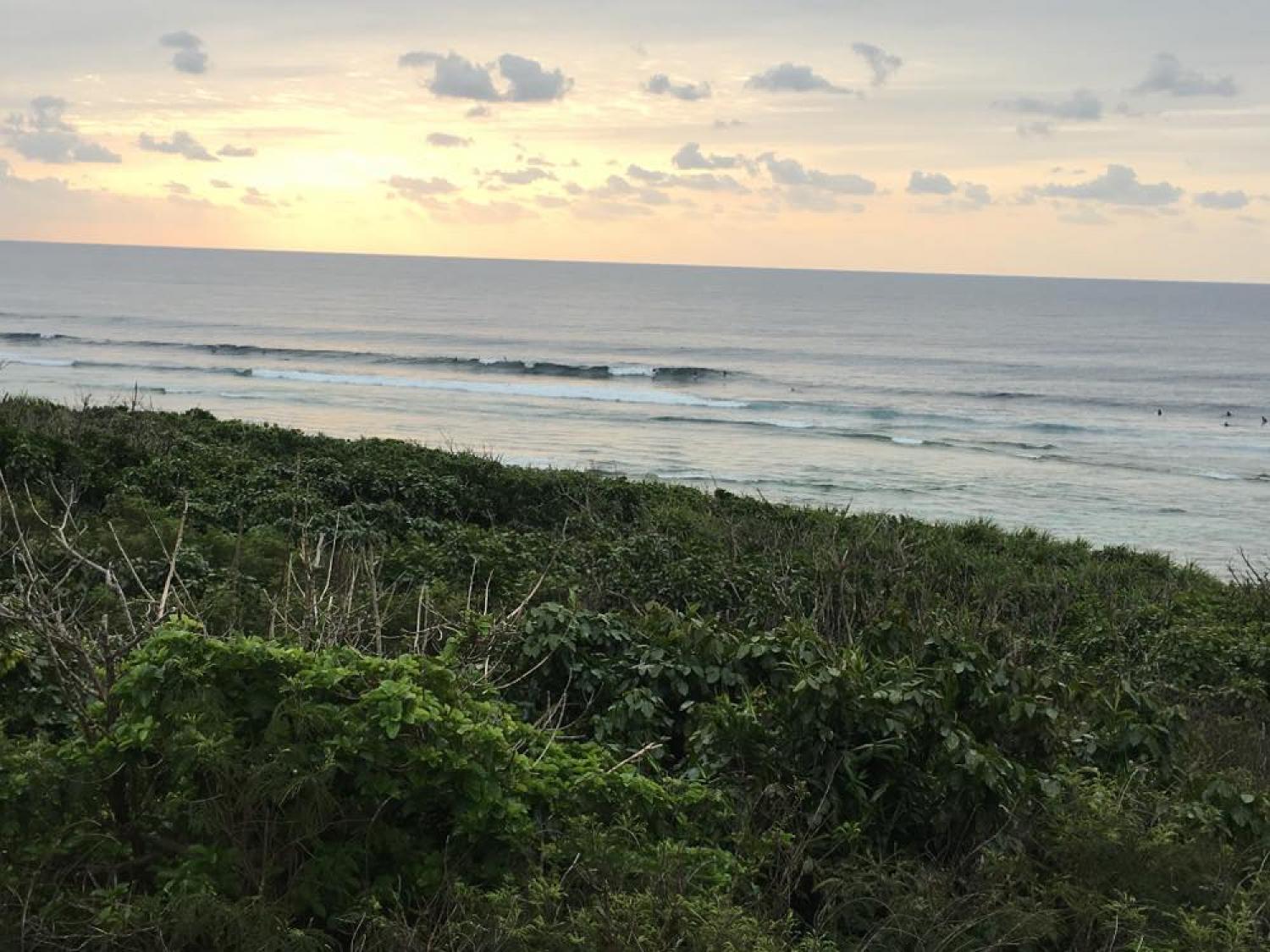 Waist～Chest Feb. 26 Suicide Point wave information 1