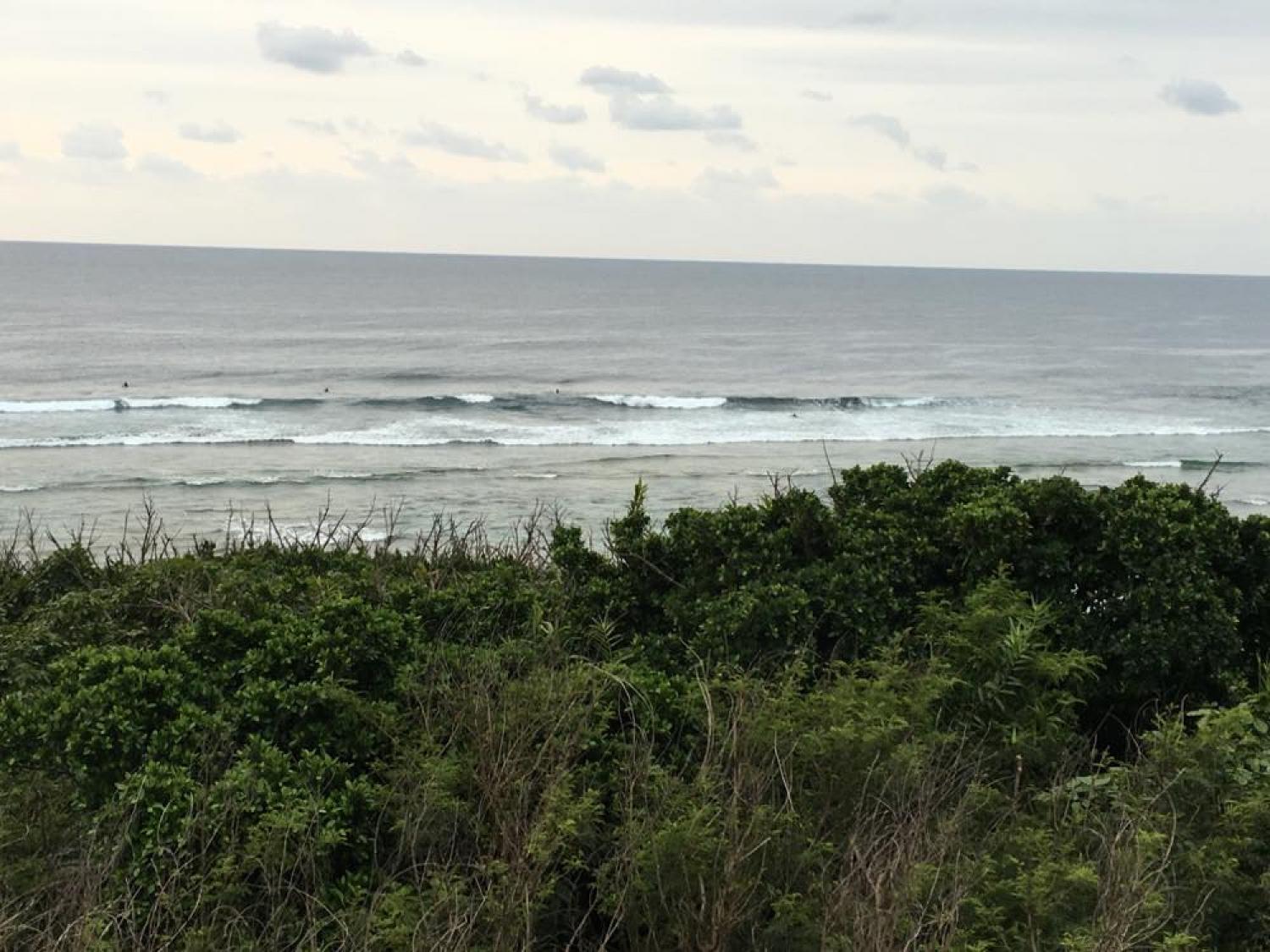 Waist～Chest Feb. 26 Suicide Point wave information 2