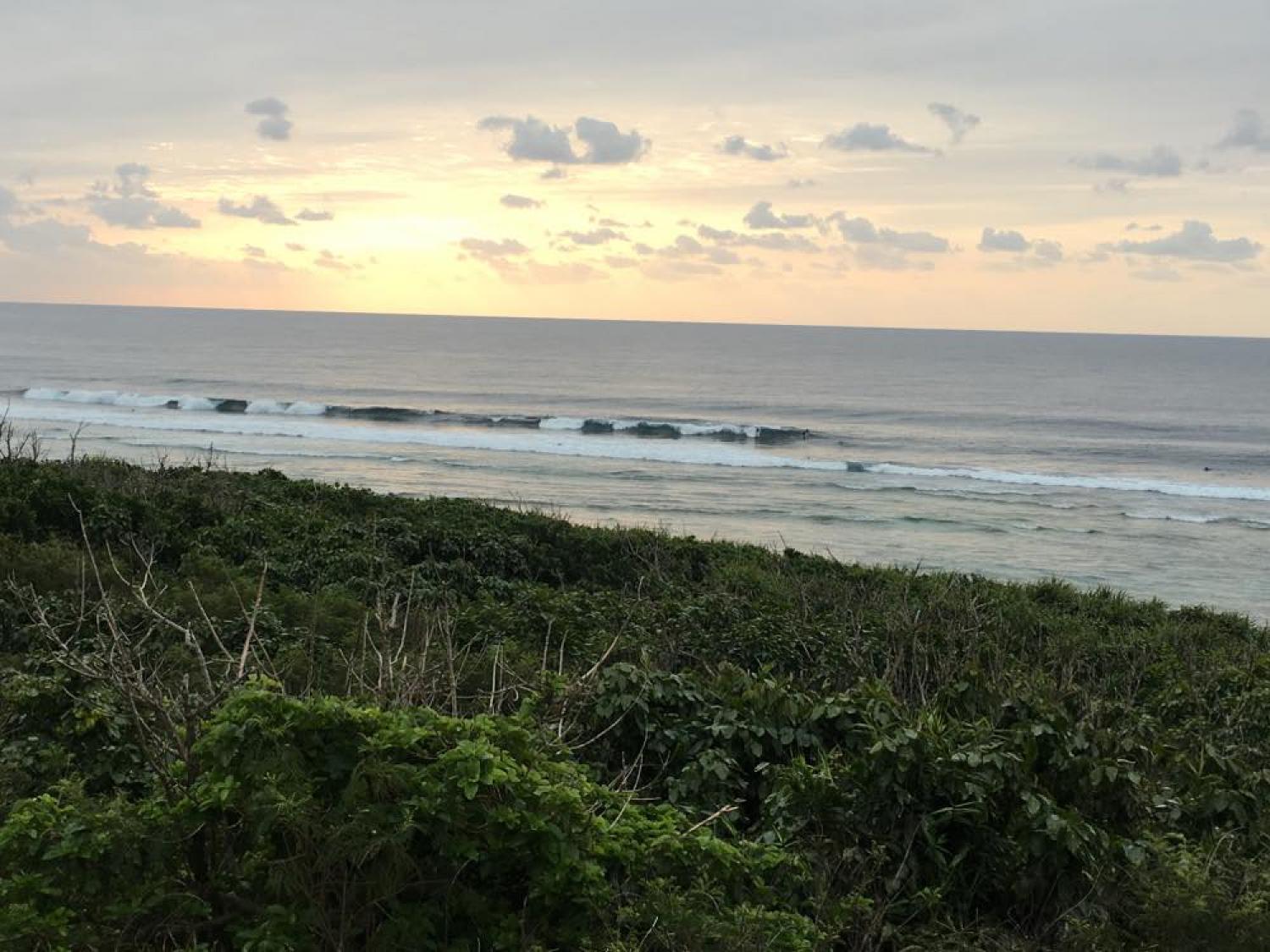 Waist～Chest Feb. 26 Suicide Point wave information 4