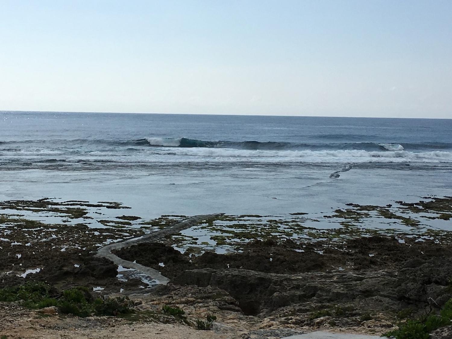 Head over March. 7 Suicide Point wave information 1
