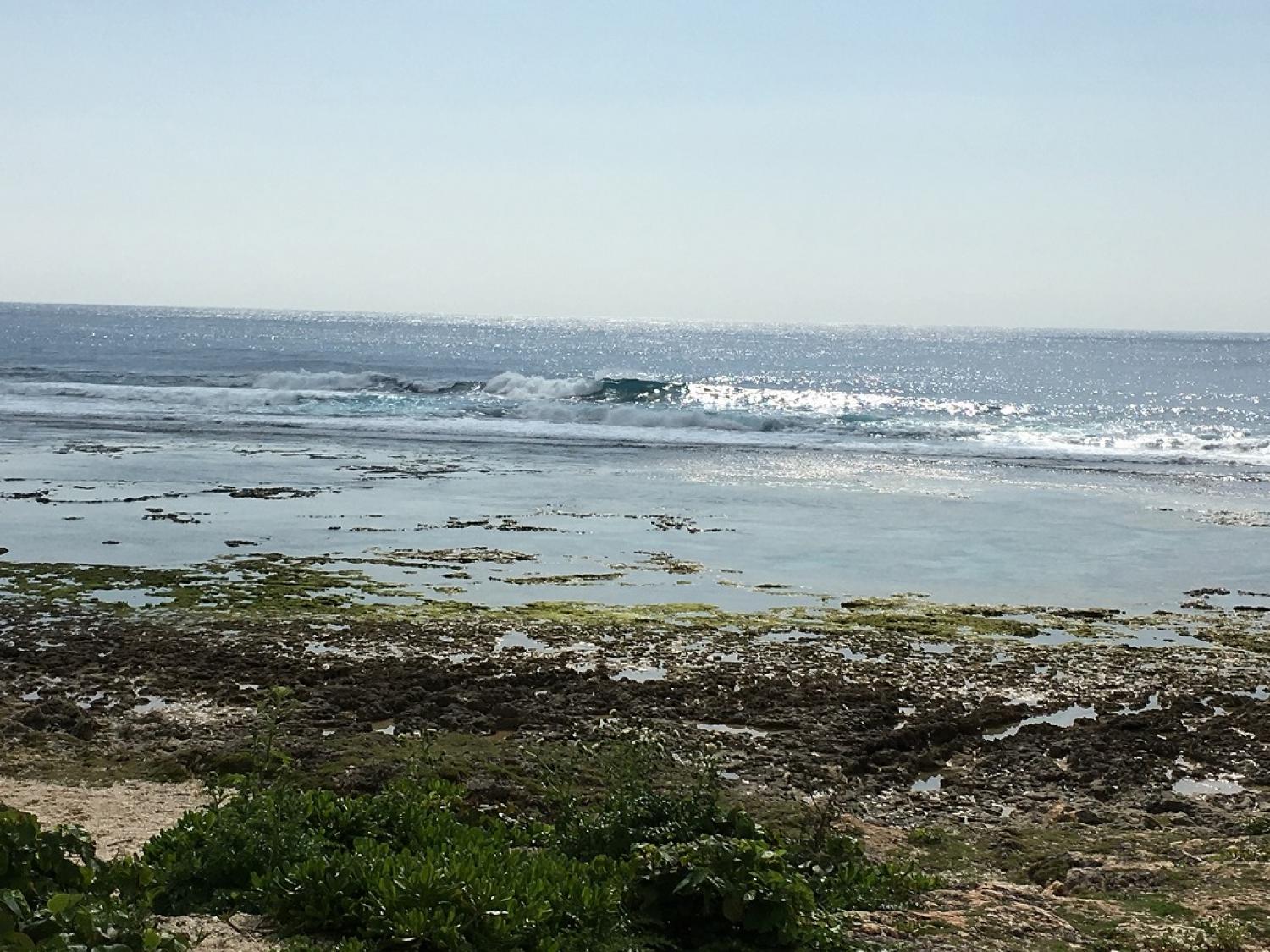 Head over March. 7 Suicide Point wave information 3
