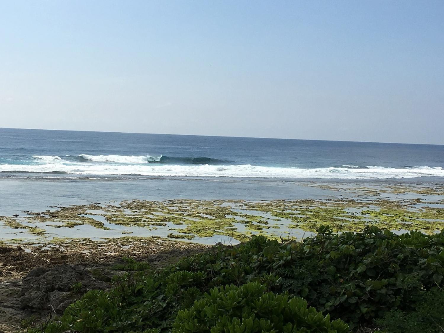 Head over March. 7 Suicide Point wave information 4