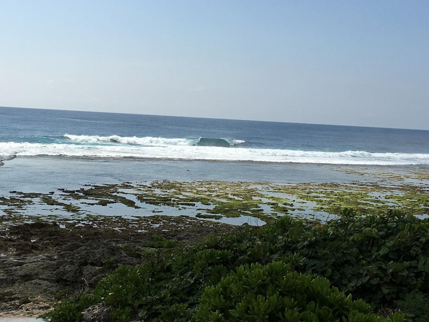 Head over March. 7 Suicide Point wave information 5