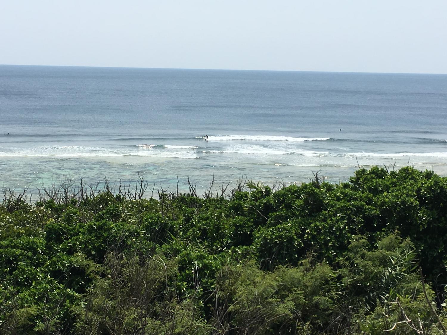 Apr. 1 Suicide Point wave information 3