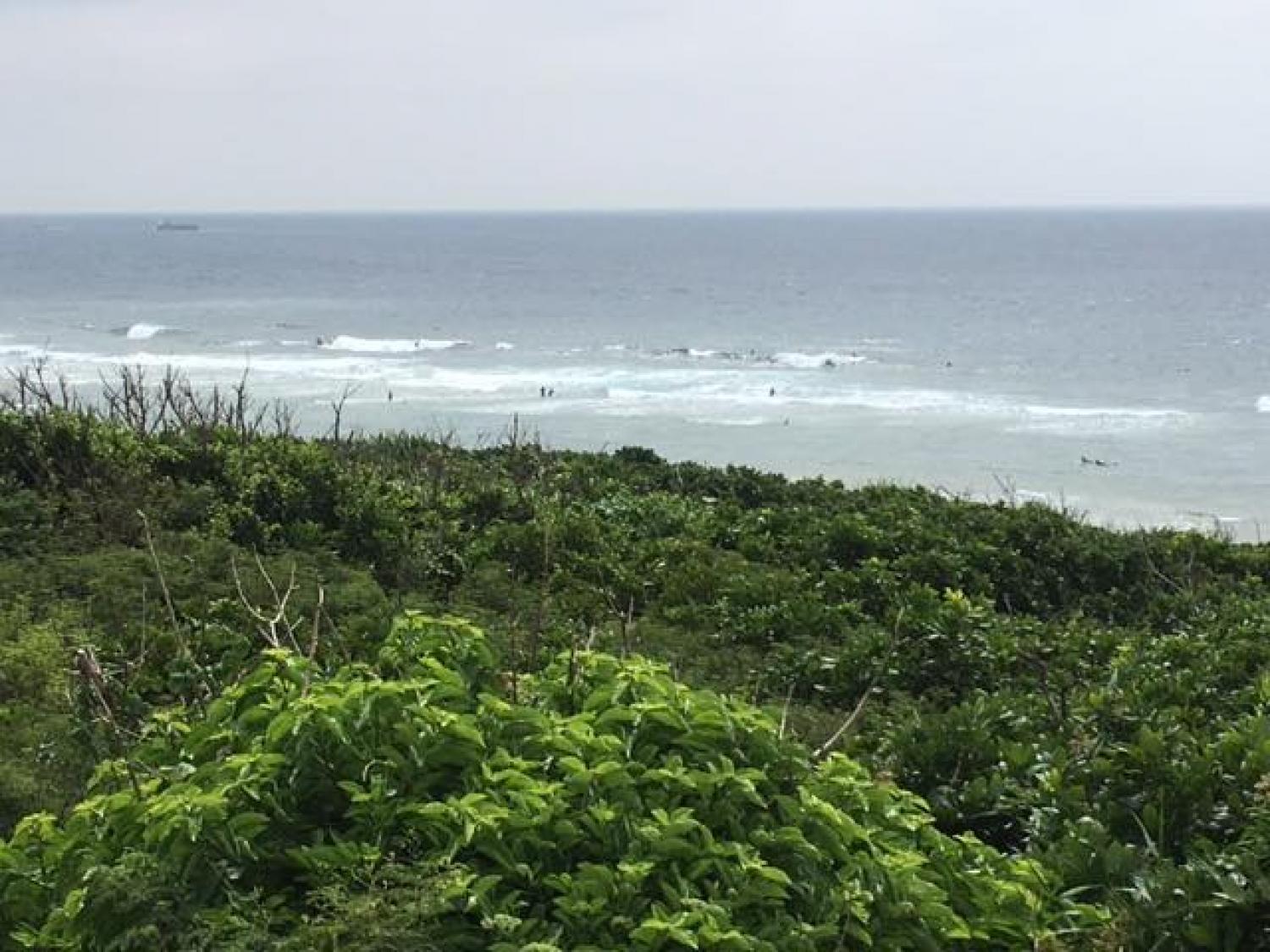 膝〜腰サイズ 5月12日（木）スーサイド波情報 2