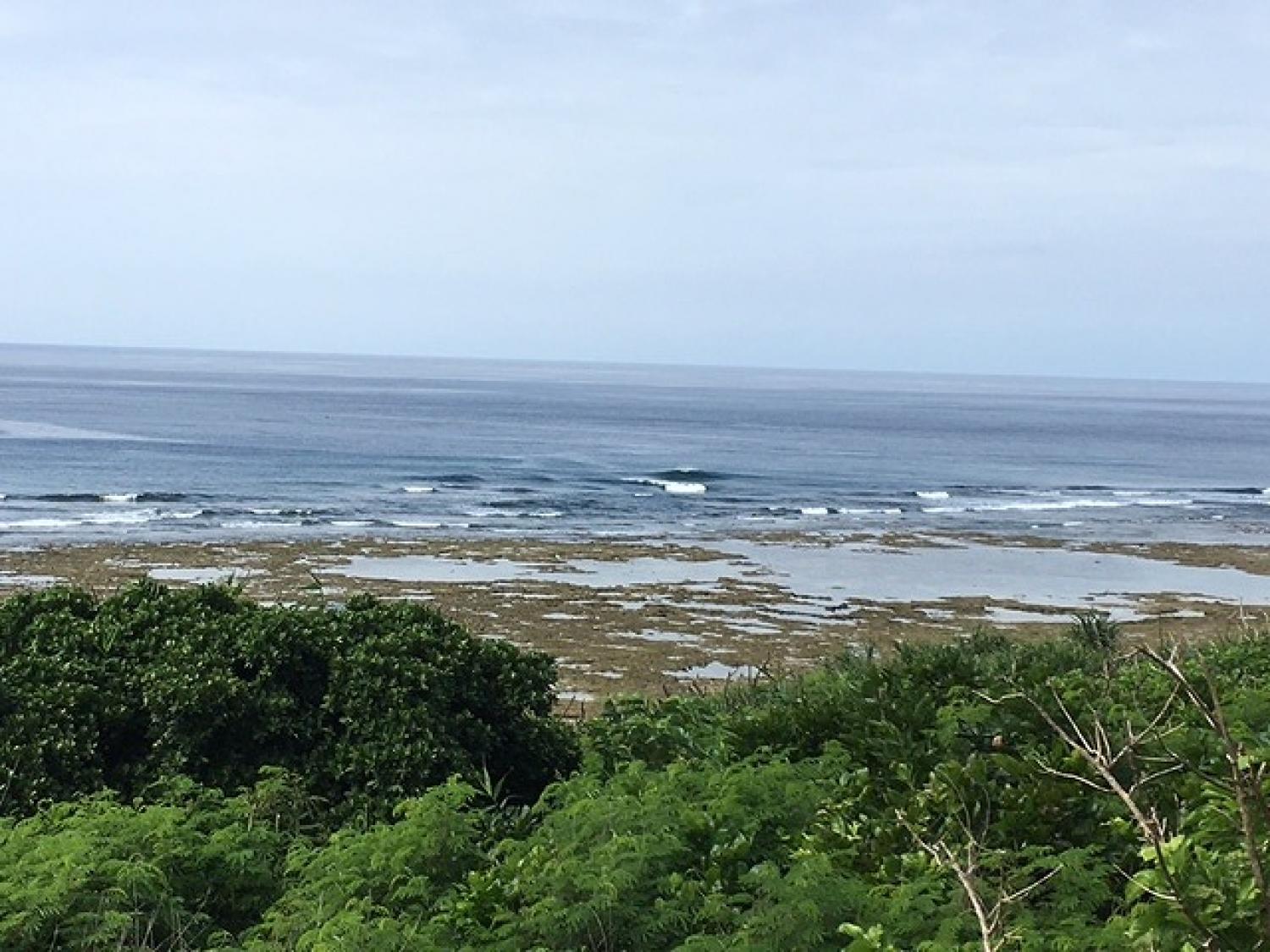 膝サイズ　5月31日（火）スーサイド波情報 3