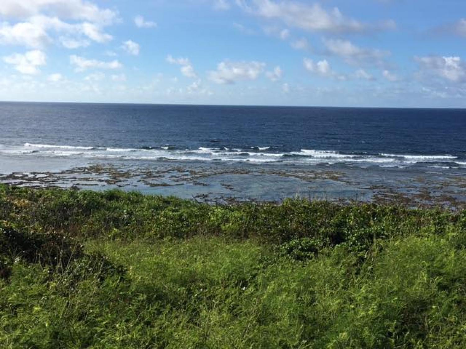 July.14 Suicide Point wave information 2