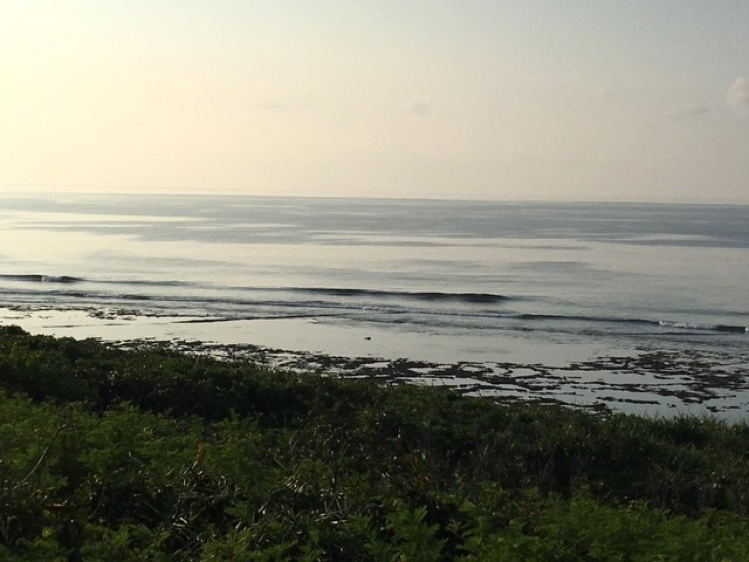July.29 Suicide Point wave information 1