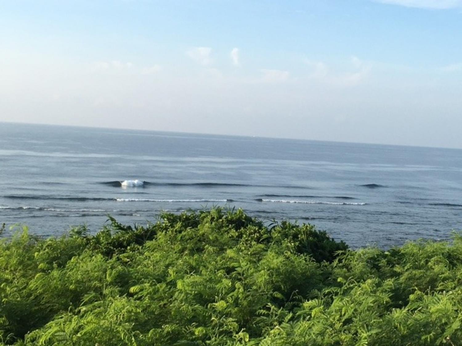 8月23日（火）スーサイド波情報 3