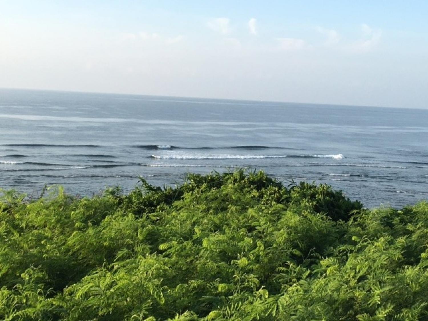 8月23日（火）スーサイド波情報 5