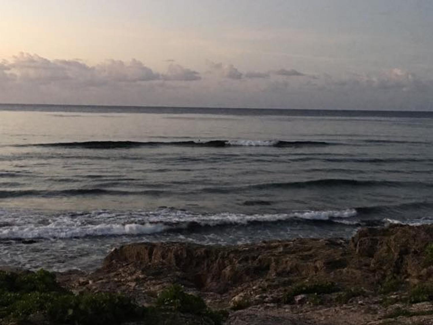 Aug.30 Suicide Point wave information 2