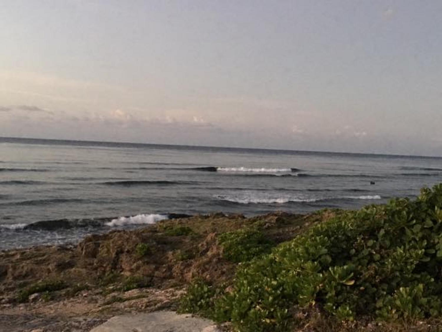Aug.30 Suicide Point wave information 3