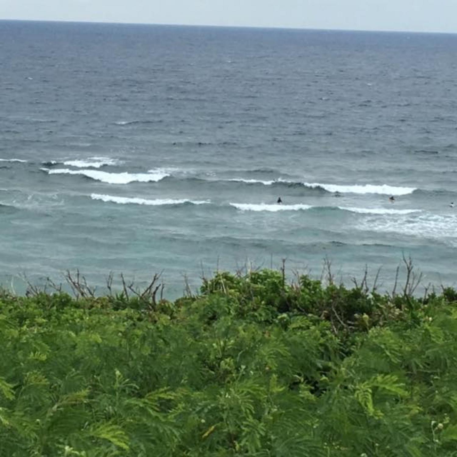 Sep.1 Suicide Point wave information 1