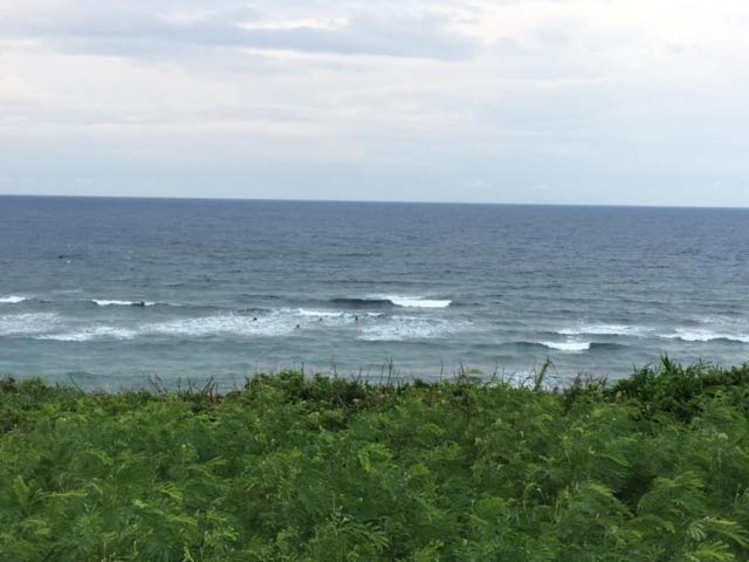 Sep.1 Suicide Point wave information 2