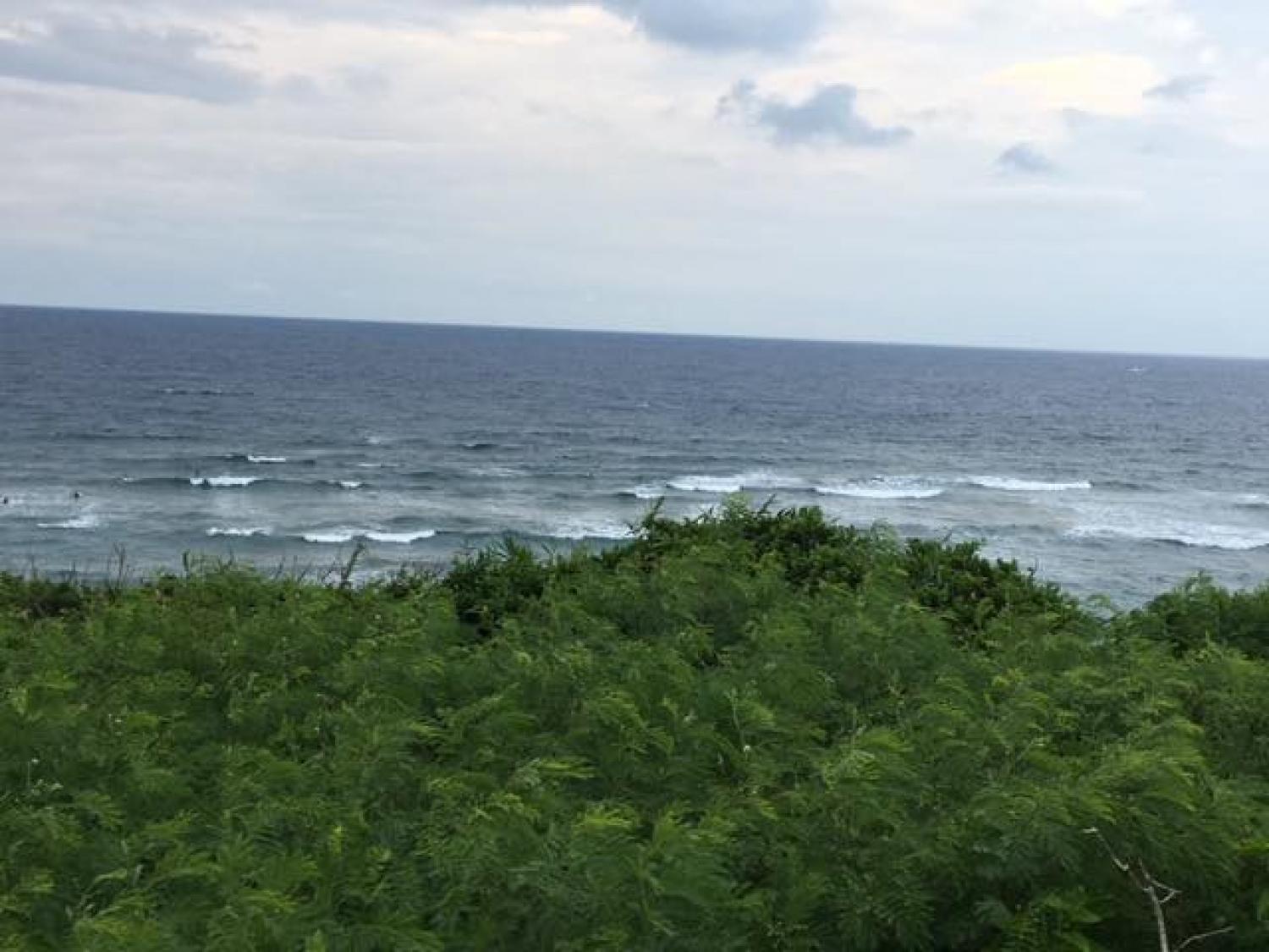 Sep.1 Suicide Point wave information 3