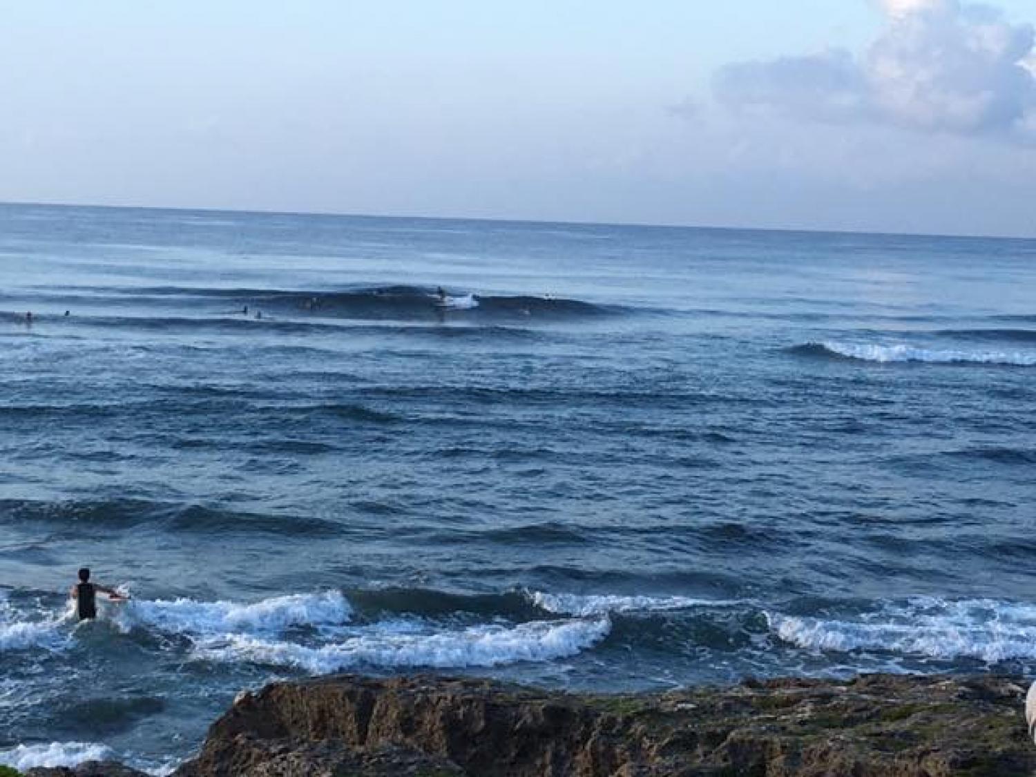 Sep.2 Suicide Point wave Information 1