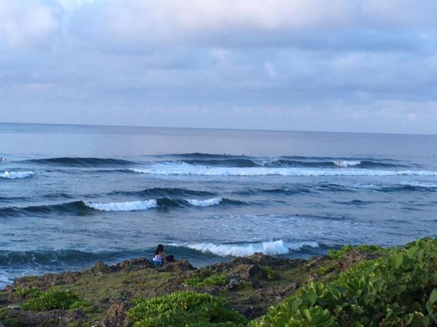 Sep.2 Suicide Point wave Information 2