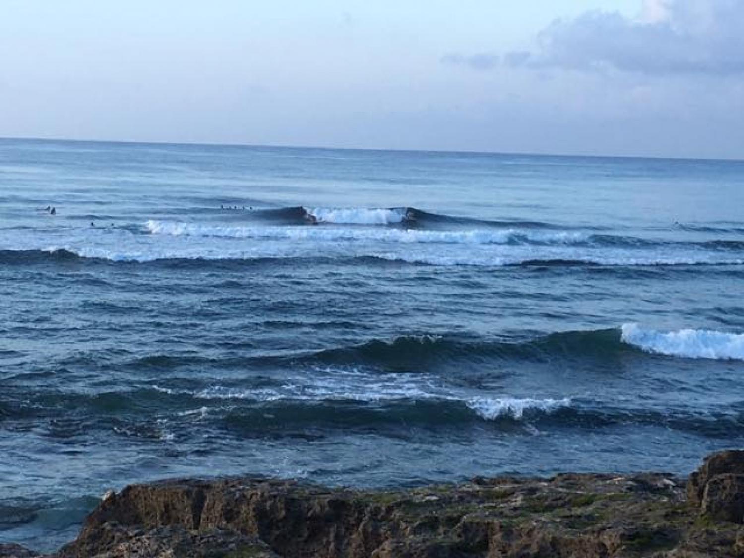 Sep.2 Suicide Point wave Information 3