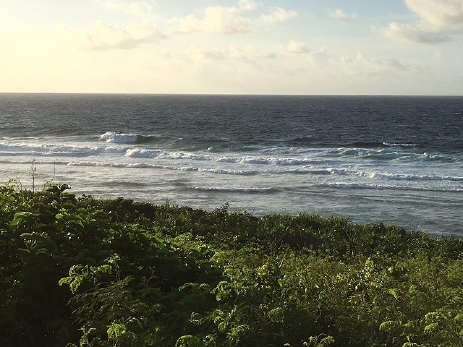 Sep.15 Suicide Point wave Information 1