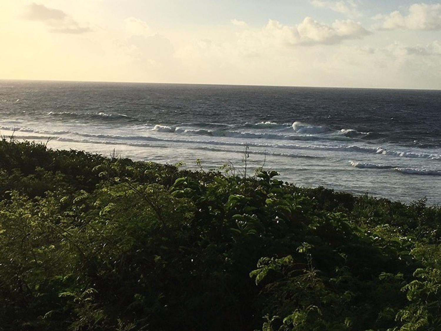Sep.15 Suicide Point wave Information 2