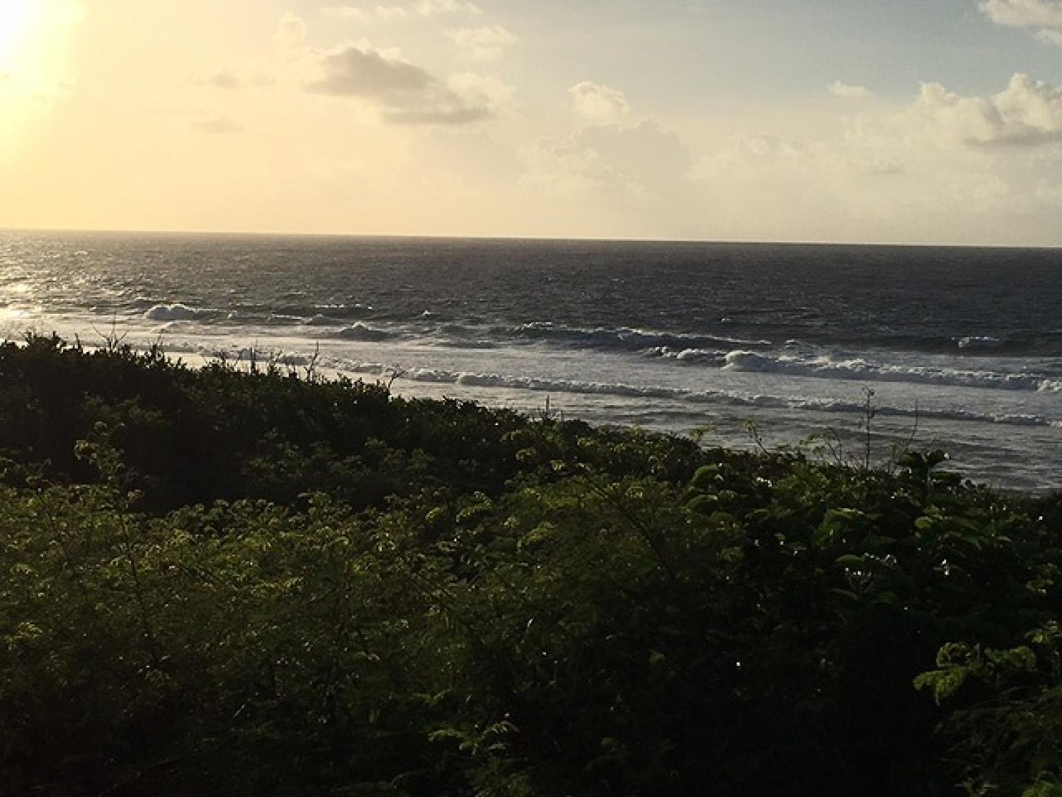 Sep.15 Suicide Point wave Information 3