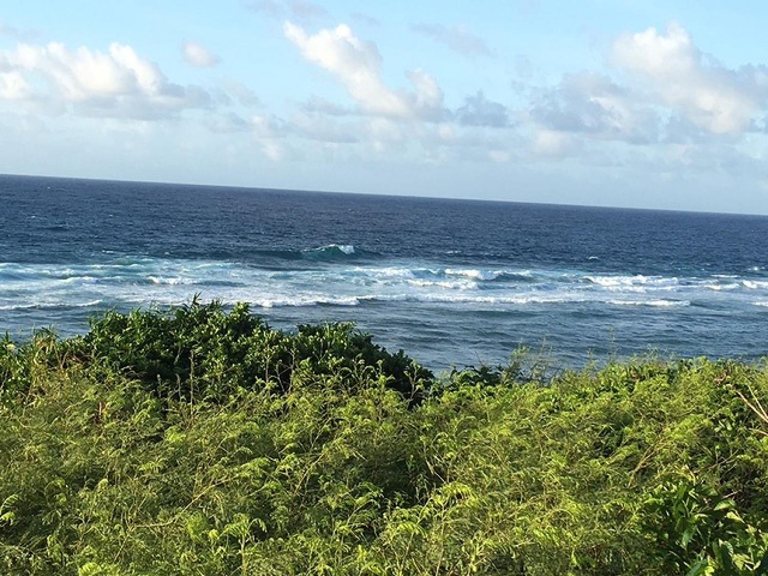 Sep.15 Suicide Point wave Information 5